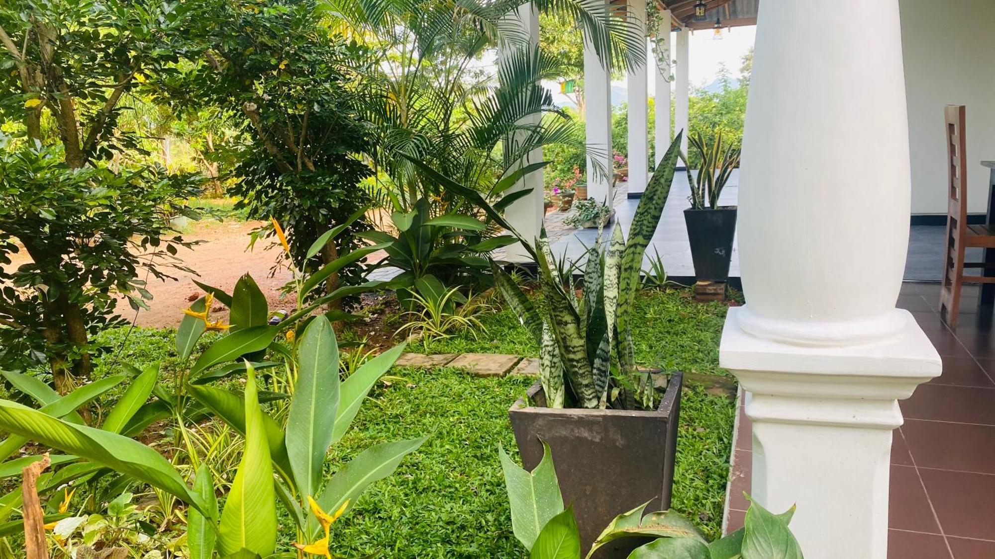 Fairview Dill Homestay Sigiriya Exterior foto
