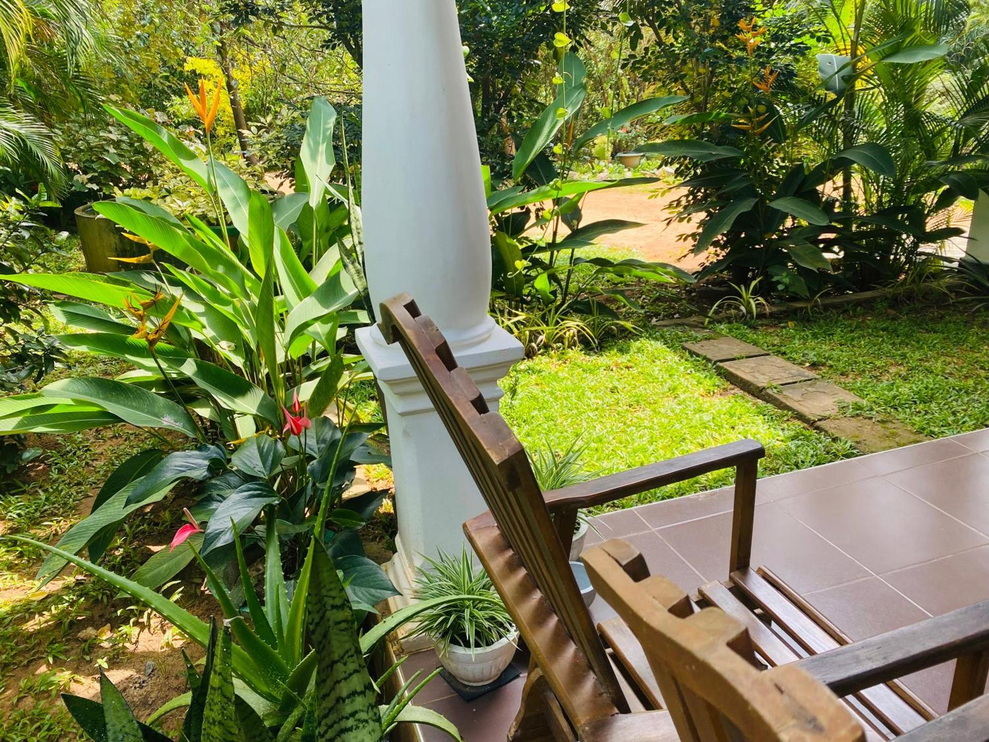 Fairview Dill Homestay Sigiriya Exterior foto