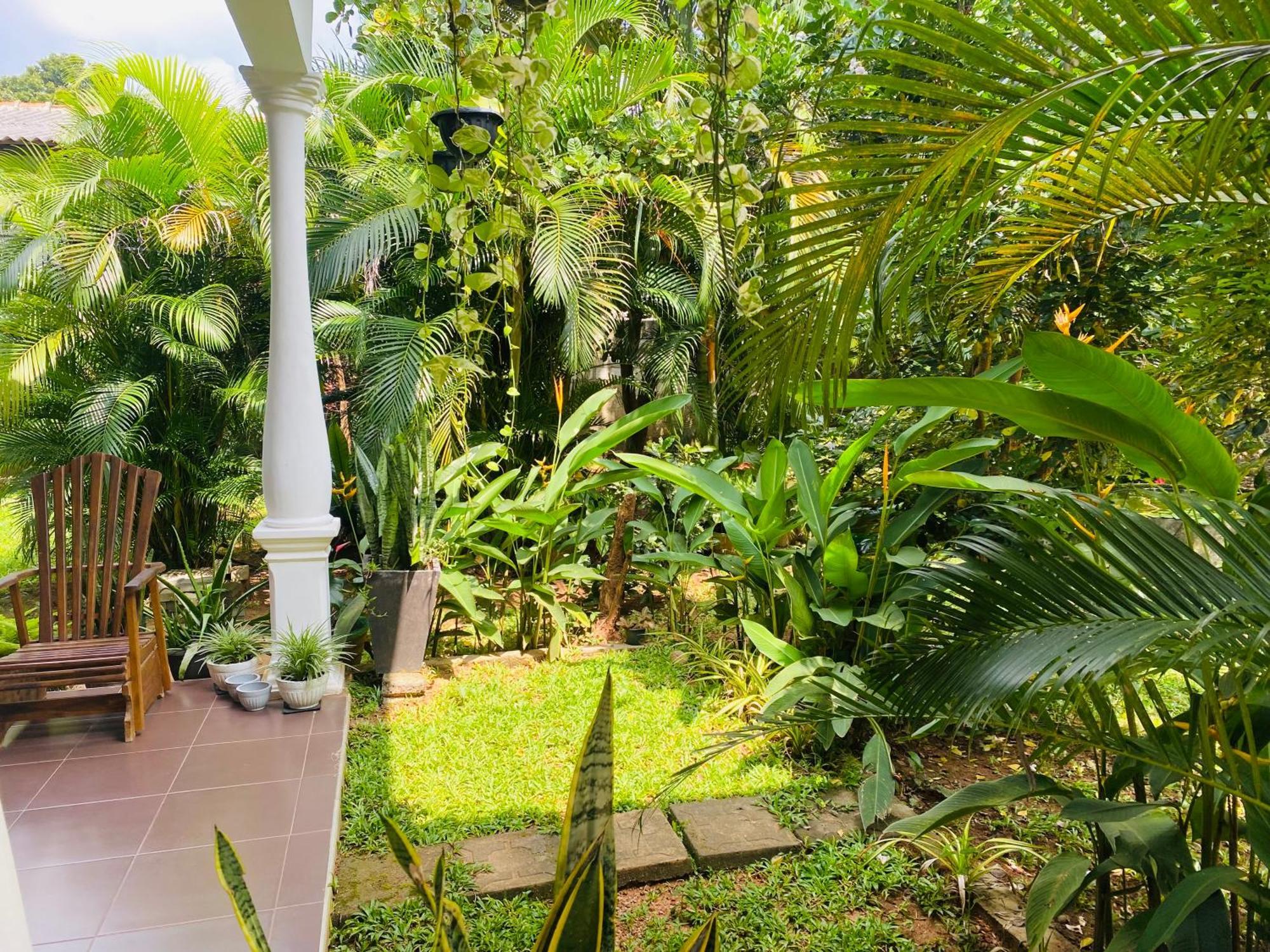 Fairview Dill Homestay Sigiriya Exterior foto